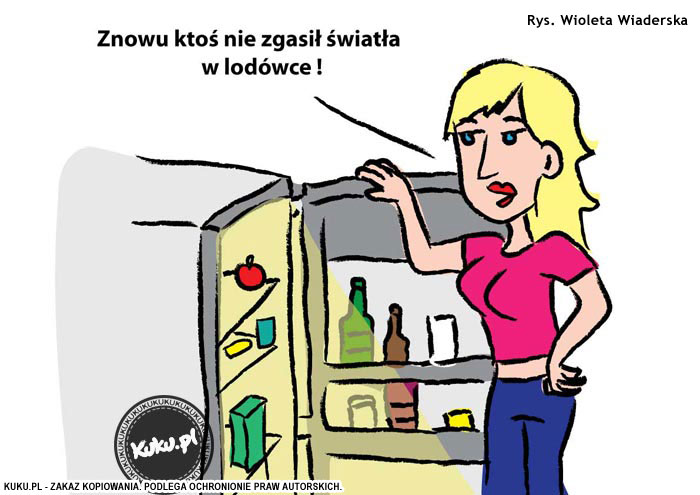 Komiks, dowcip, Żart o ÅšwiatÅ‚o w lod&oacute;wce