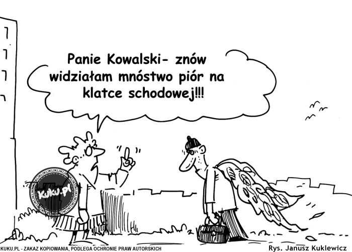 Komiks, dowcip, Żart o AnioÅ‚ Kowalski
