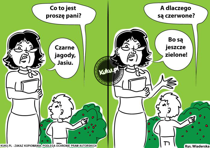 Komiks, dowcip, Żart o Czarne jagody