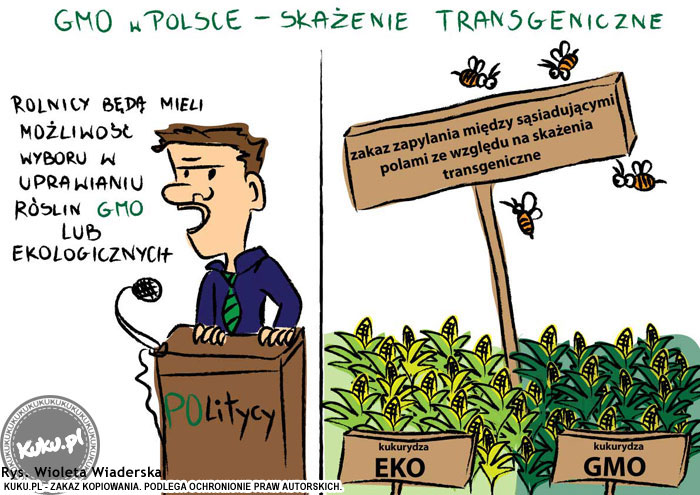 Komiks, dowcip, Żart o GMO w Polsce