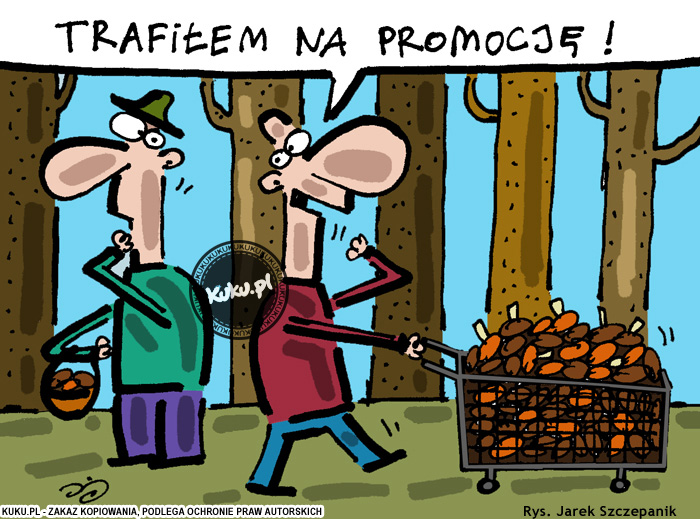 Komiks, dowcip, Żart o Grzybowa promocja