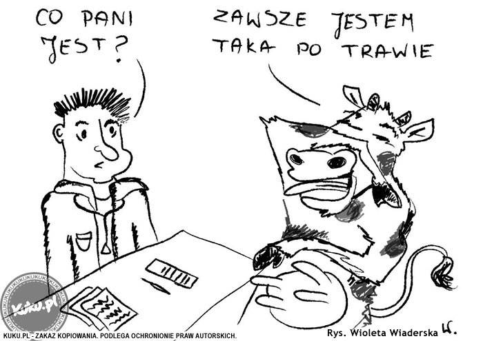 Komiks, dowcip, Żart o Krowa u lekarza