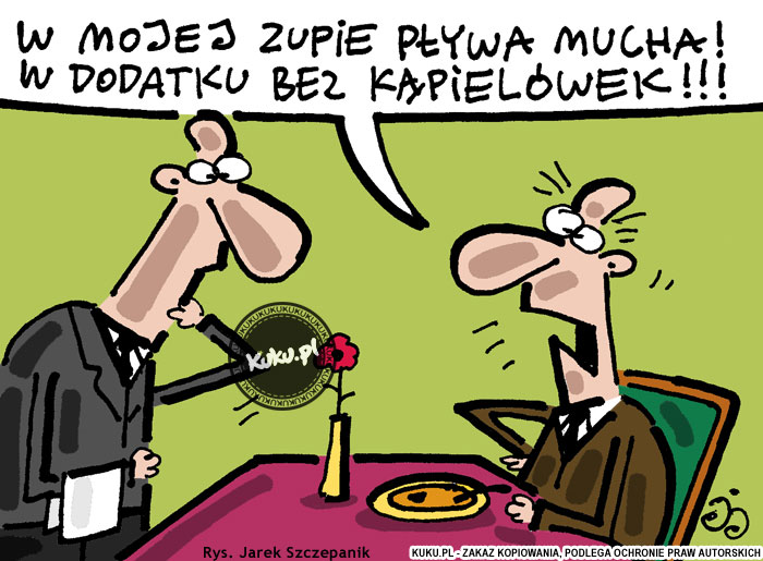 Komiks, dowcip, Żart o Mucha w zupie