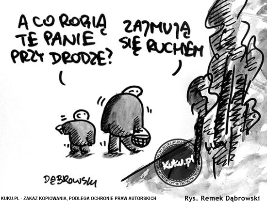 Komiks, dowcip, Żart o Panie przy drodze