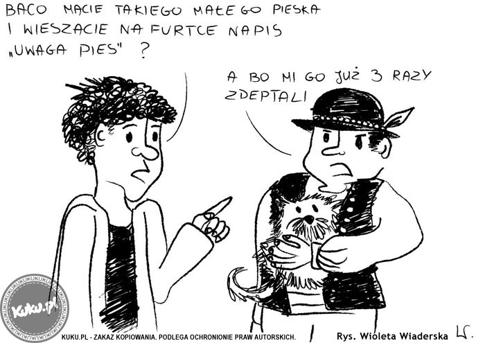 Komiks, dowcip, Żart o Pies bacy