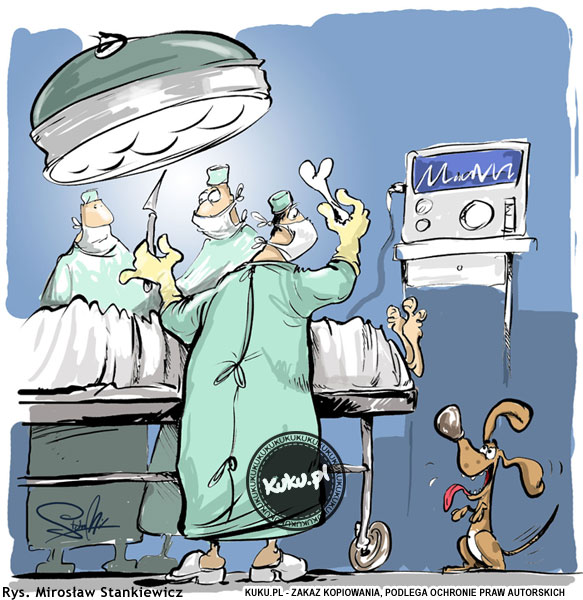 Komiks, dowcip, Żart o Pies na sali operacyjnej