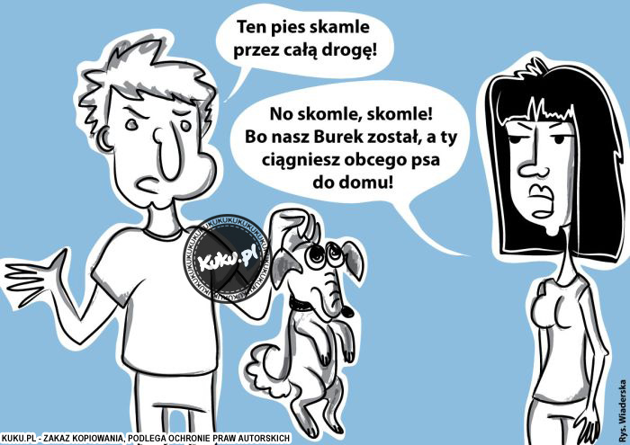 Komiks, dowcip, Żart o Pies skomle