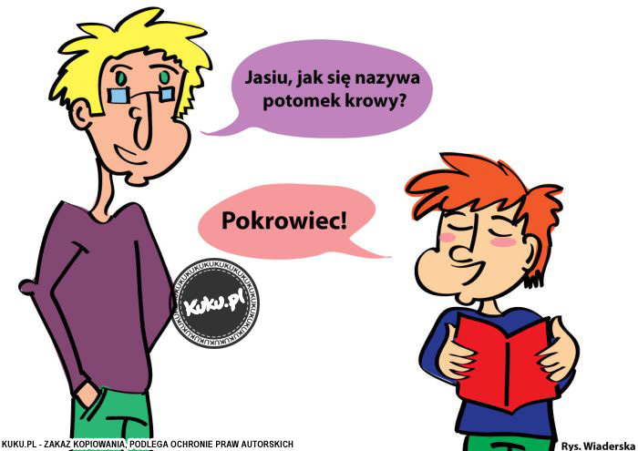 Komiks, dowcip, Żart o Potomek krowy