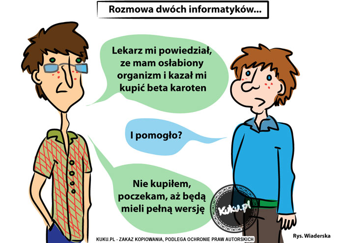 Komiks, dowcip, Żart o Rozmowa dwÃ³ch informatykÃ³w