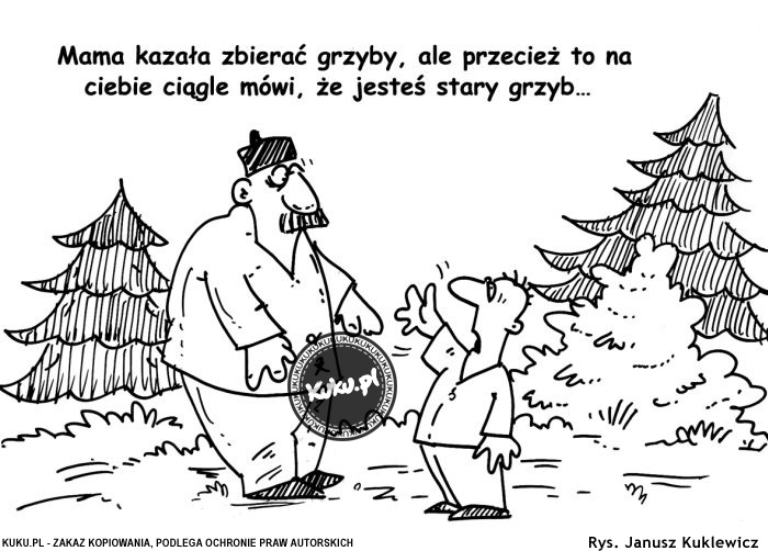 Komiks, dowcip, Żart o Stary grzyb