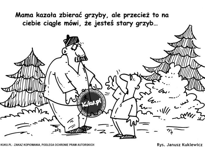 Komiks, dowcip, Żart o Stary grzyb